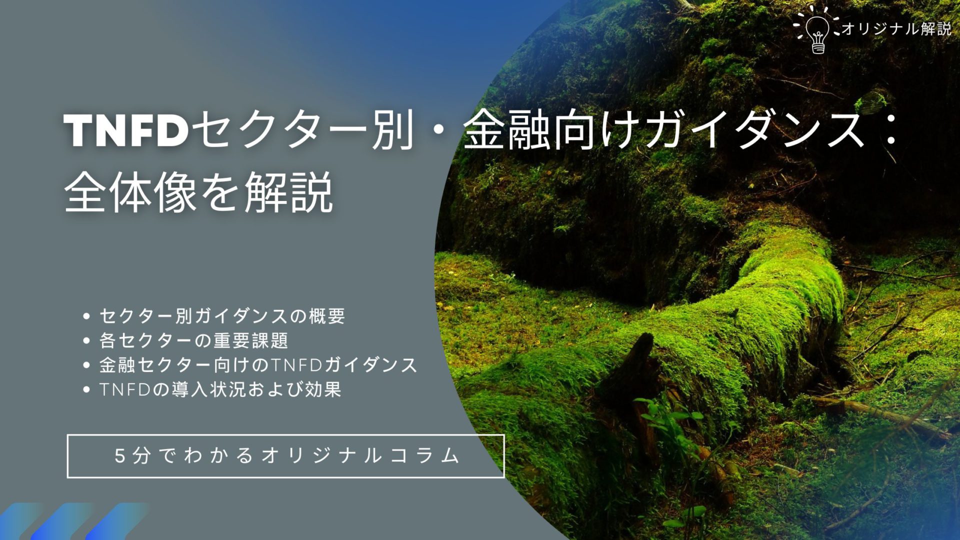 TNFDセクター別/金融向けガイダンス:全体像を解説 TNFDセクター別/金融向けガイダンス:全体像を解説