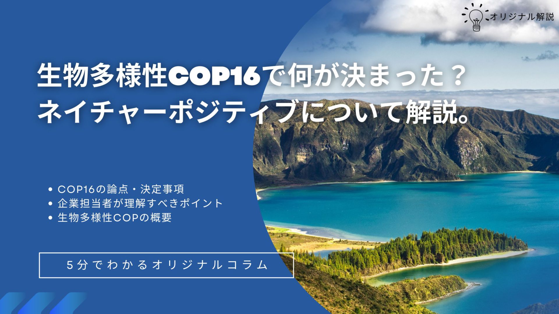 生物多様性COP16で何が決まった?ネイチャーポジティブについて解説 生物多様性COP16で何が決まった?ネイチャーポジティブについて解説