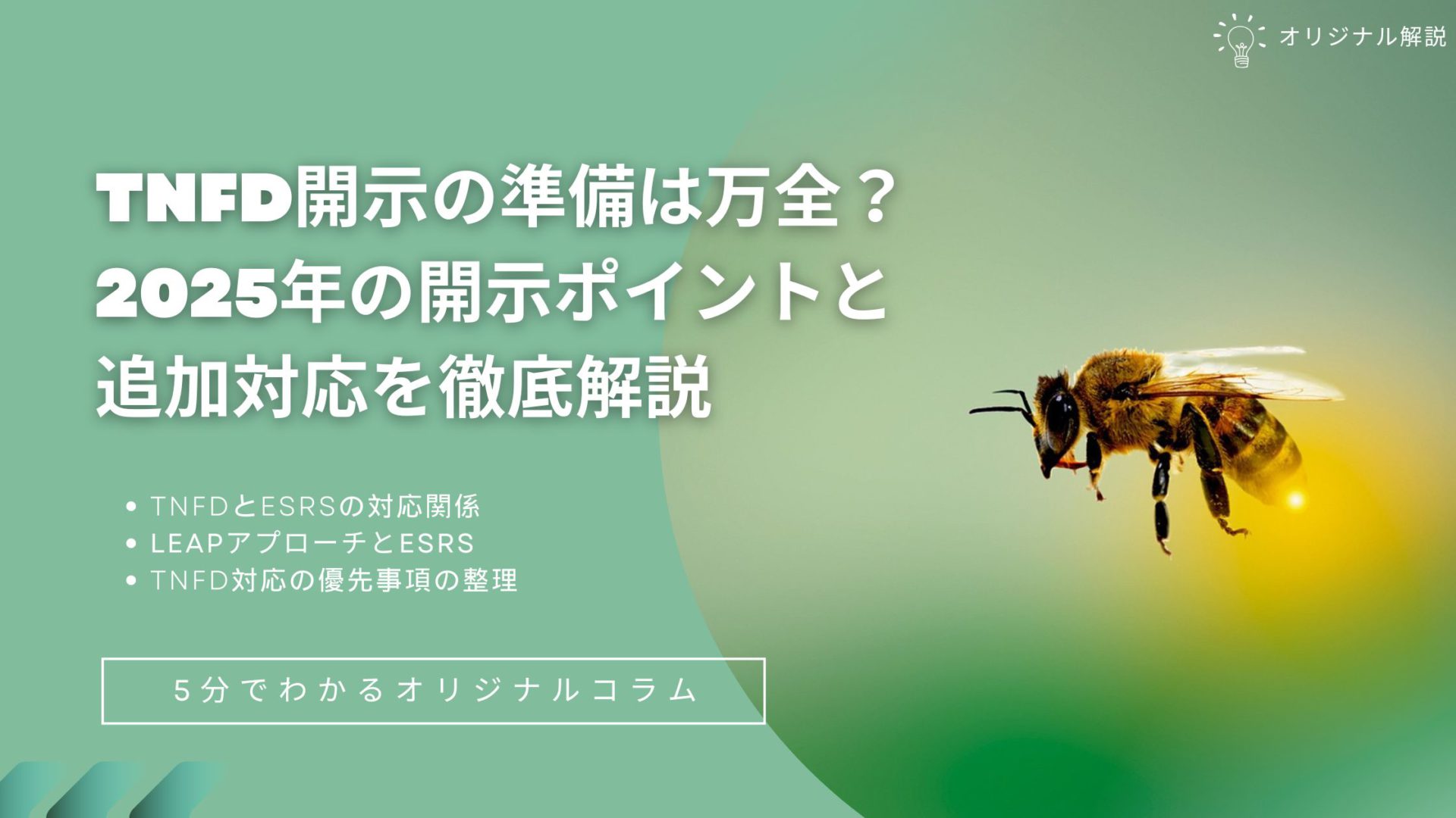 TNFD開示の準備は万全?2025年の開示ポイントと追加対応を徹底解説 TNFD開示の準備は万全?2025年の開示ポイントと追加対応を徹底解説