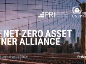 net zero