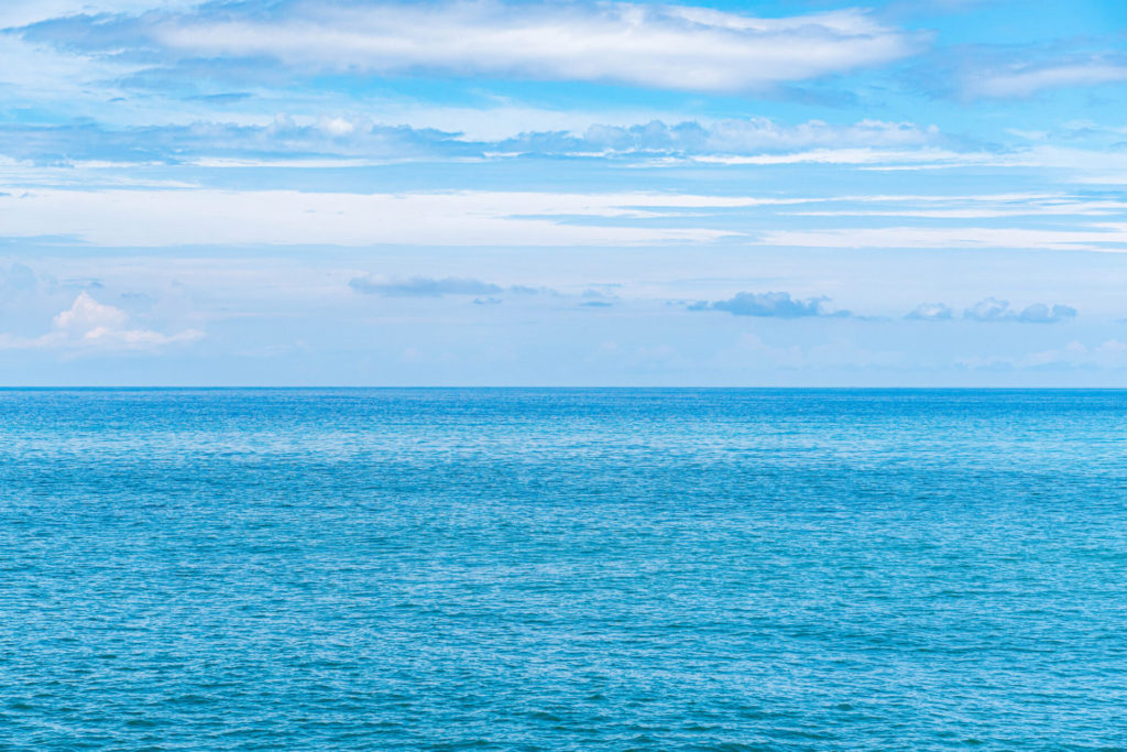 海